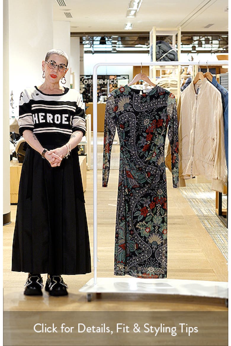 The Delilah Print Long Sleeve Mesh Maxi Dress video