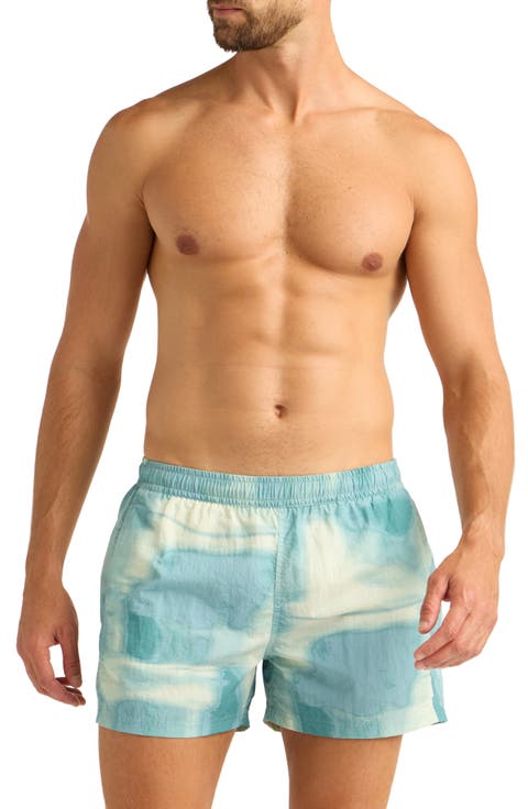 Print 4-Inch Nylon Swim Trunks
