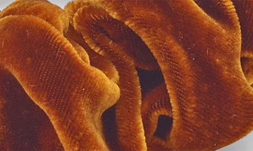 Lelet Ny Medium Inara Velvet Pendant Scrunchie In Brown