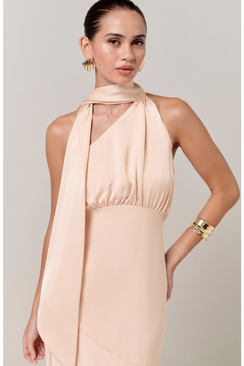 Chloe Maxi Dress, Alternate, color, Pale Pink