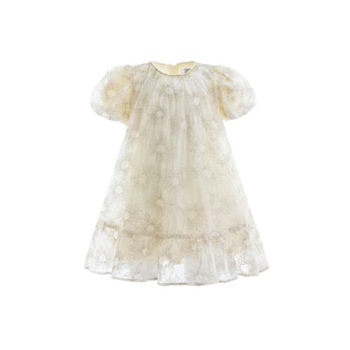 Sweet Cactus Laced Soleil Dress In White
