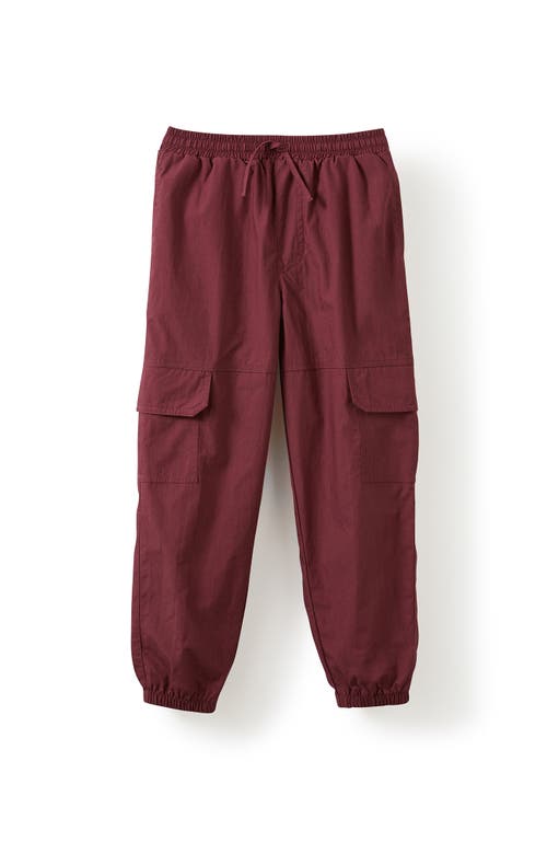 Cotton On Kids Kid's Craig Cargo Pant In Burgundy