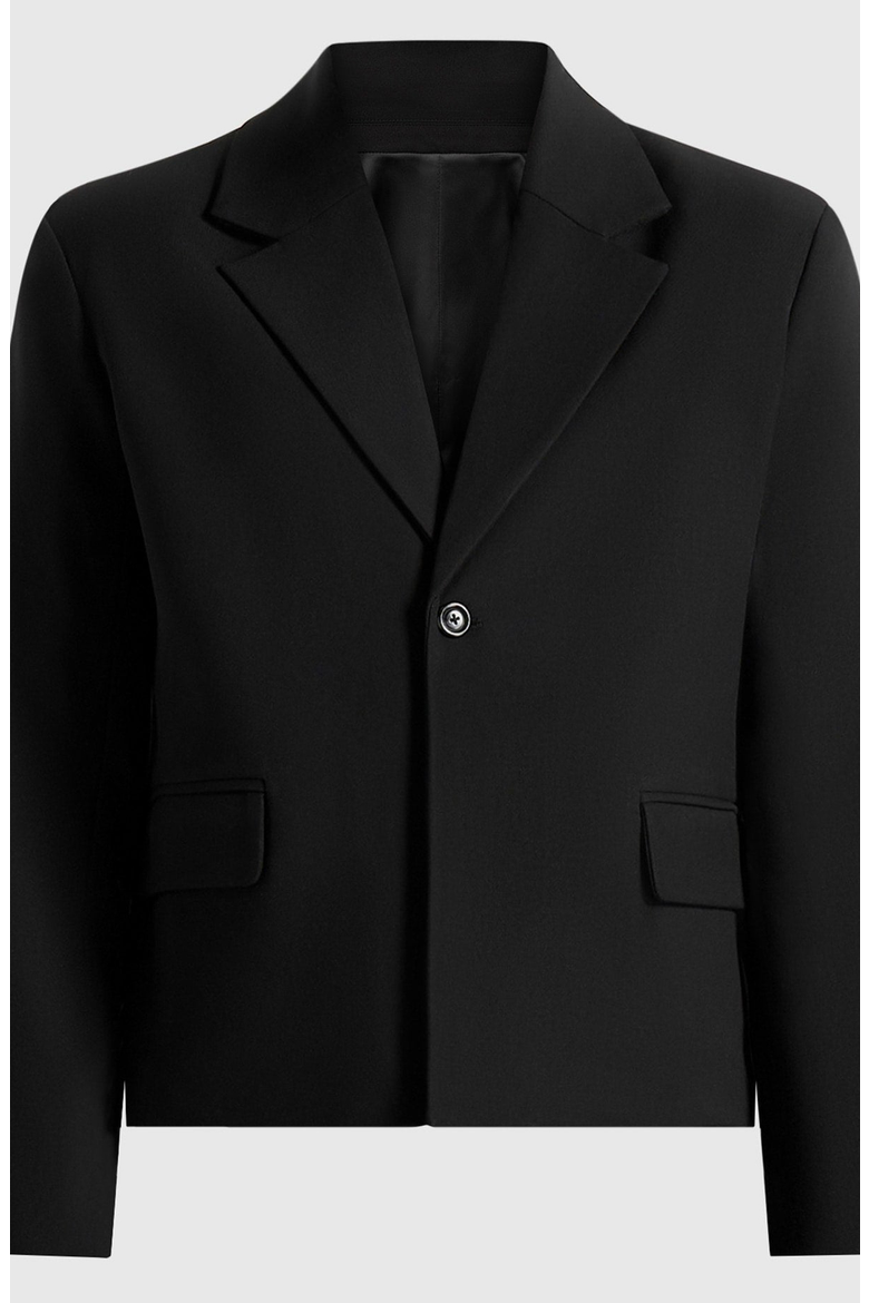 Silas Tailored Cropped Blazer, Alternate, color, Black