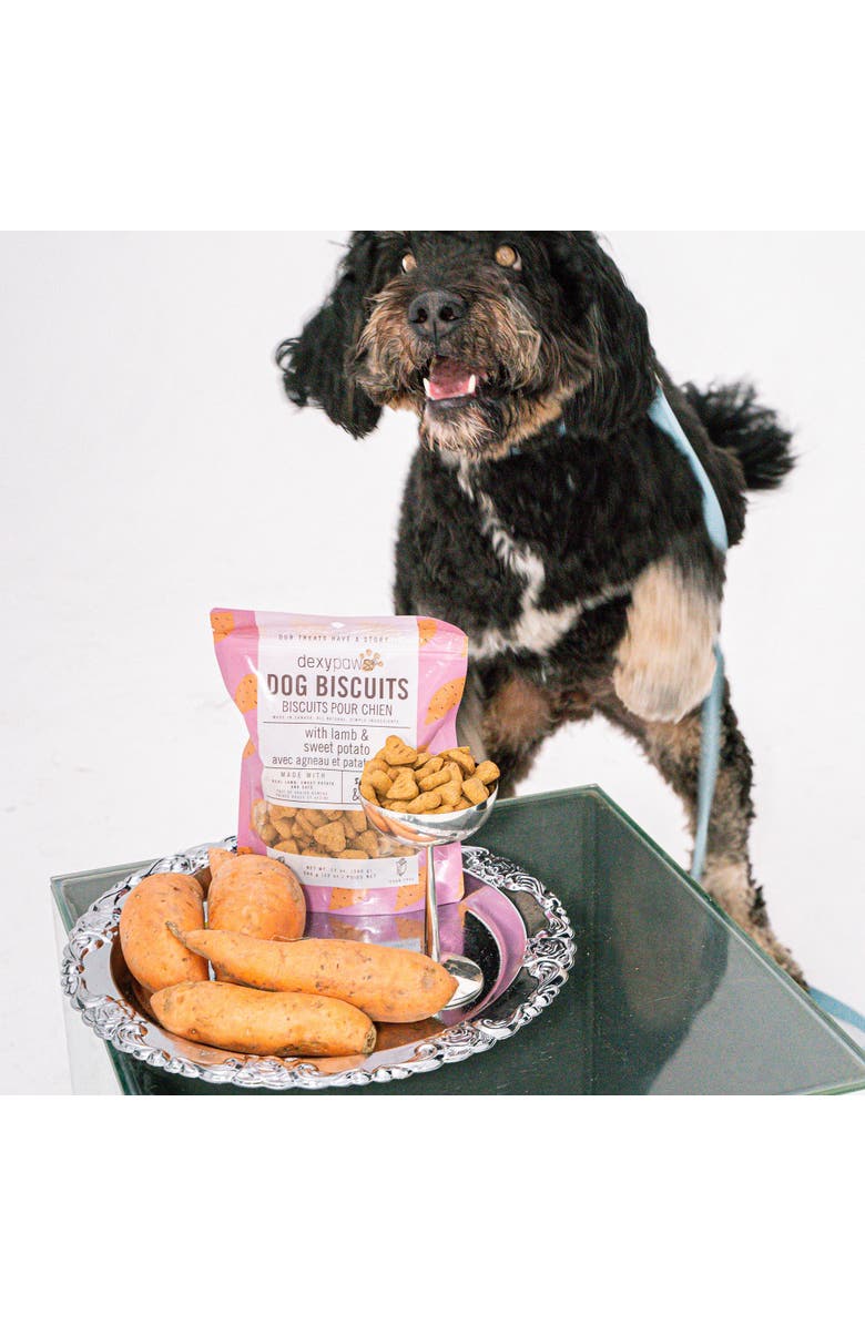 Dexypaws Lamb & Sweet Potato Dog Biscuits 12Oz Natural Pet Treats, Alternate, color, Brown
