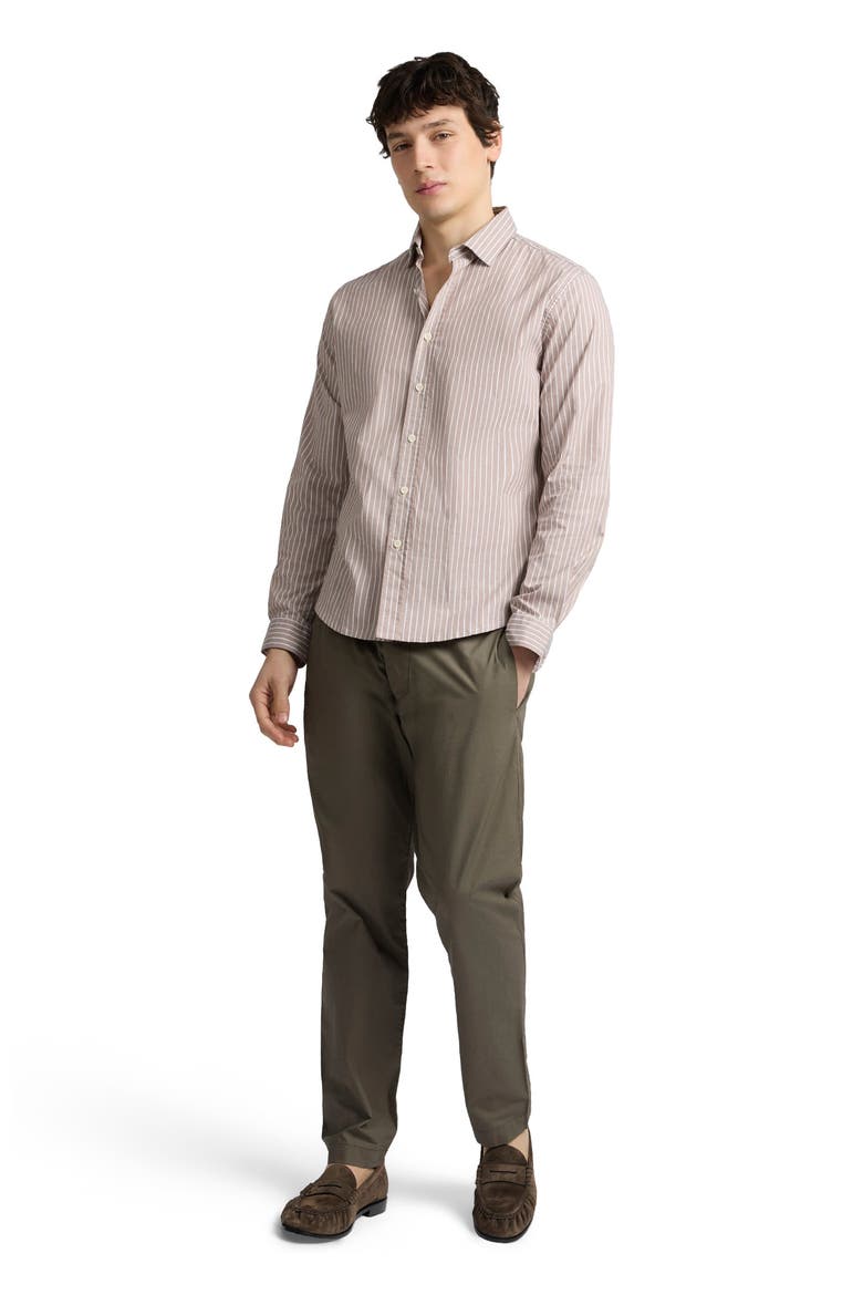 Poplin Button Down Long Sleeve Shirt, Main, color, Latte/White