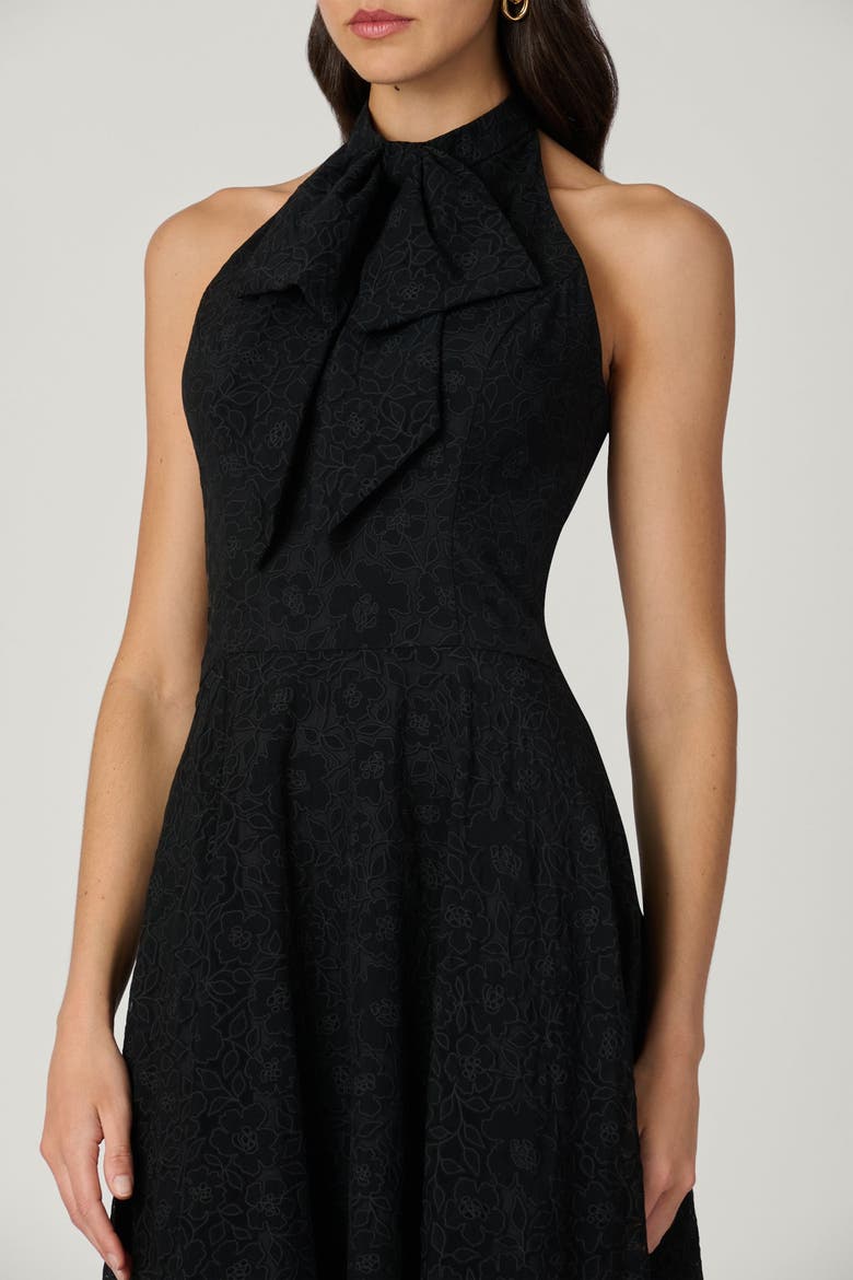Midnight Jill Santo Organza Dress, Alternate, color, Jet