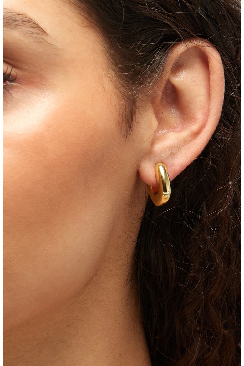 Sculptural Huggie Hoop Earrings, Alternate, color, PALE GOLD