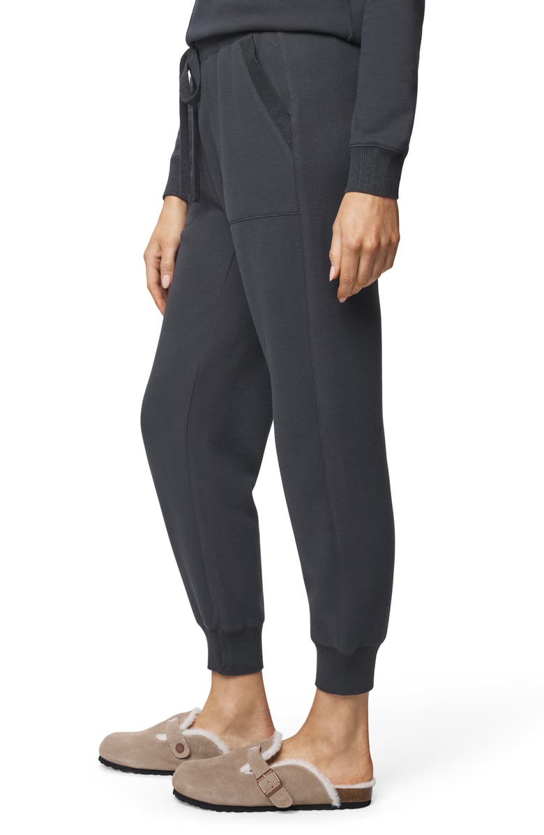 Splendid Winslow Joggers, Alternate, color, Lead