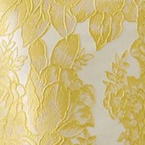 Coast Jacquard Pencil Midi Dress In Yellow