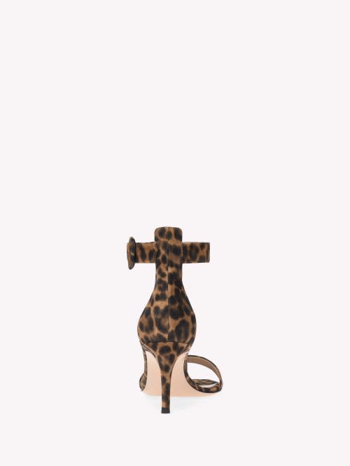 Gianvito Rossi 70mm Leopard-print Sandals In Brown