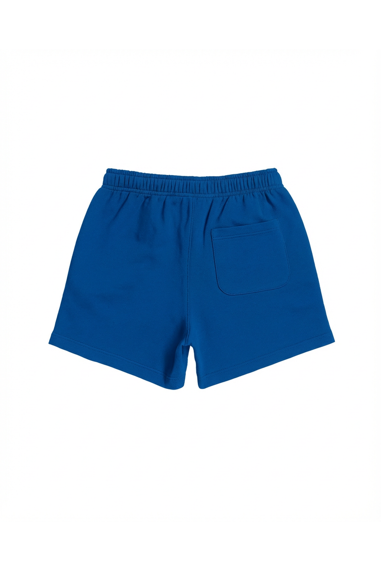 Treviso Men's Sweatshorts, Alternate, color, Pine Green