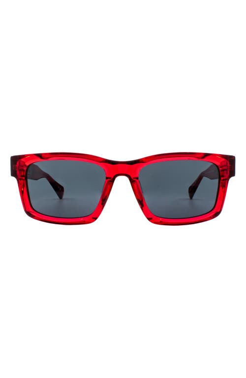 AllSaints Aden 54mm Square Sunglasses in Crystal Red  product