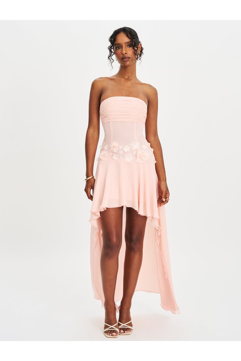 Mae Ruched Breast Appliqué Trim Trailing Dress, Alternate, color, Baby pink chiffon