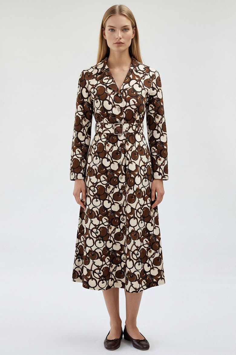 Long Sleeve Fitted Button Front Maxi Dress, Alternate, color, BROWN-BEIGE