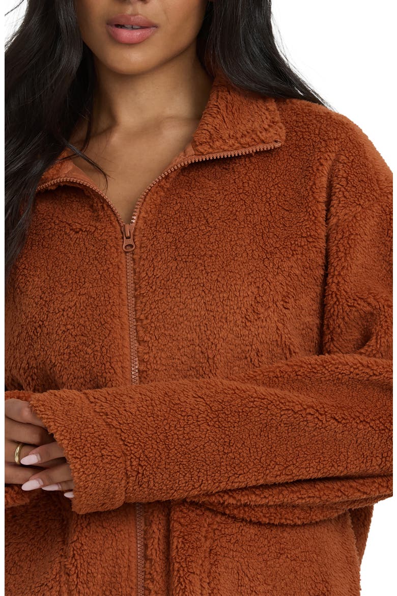 Sun City Embroidered Faux Shearling Jacket, Alternate, color, CASHEW
