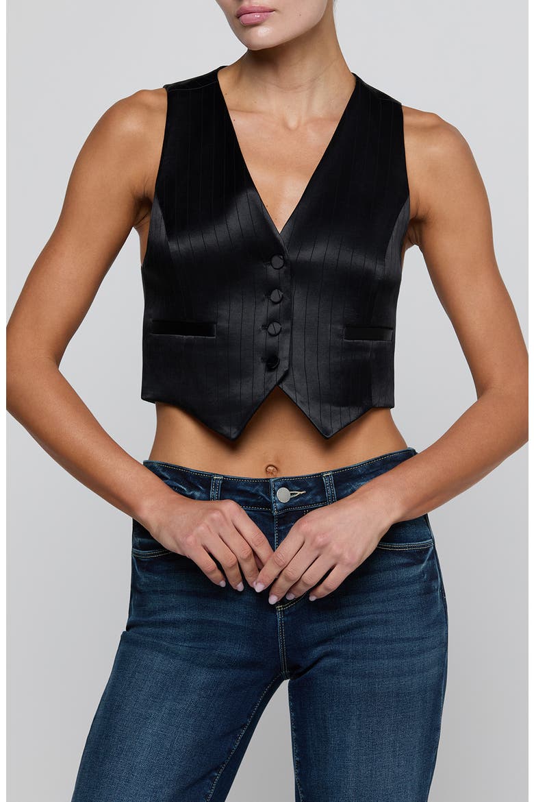 Jianna Pinstriped Short Vest, Main, color, BLACK PINSTRIPE