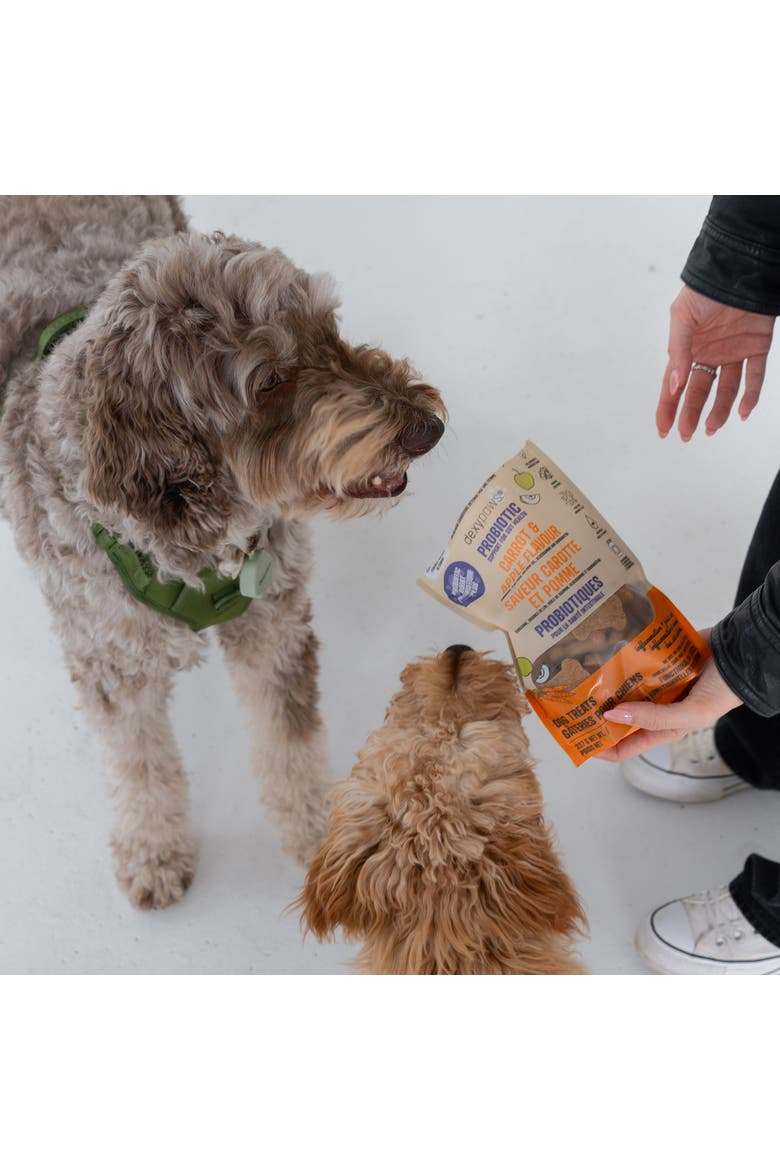 Carrot & Apple 8oz Probiotic Dog Treats, Alternate, color, Orange