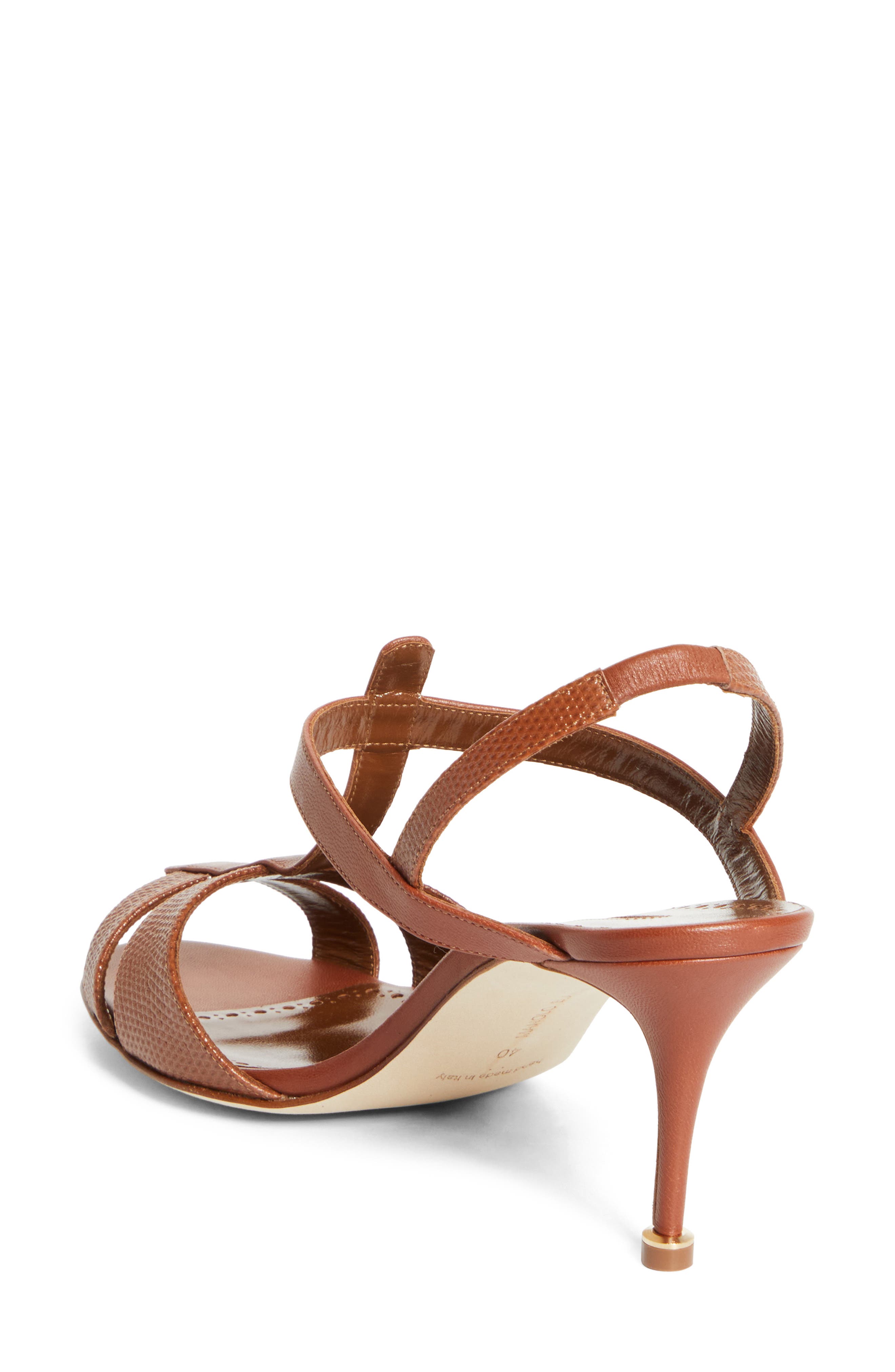 Manolo Blahnik Retauxlo T-Bar Slingback Sandal, Alternate, color, Medium Brown