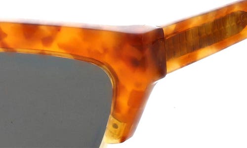 Bcbg 56mm Extreme Kitten Combo Sunglasses