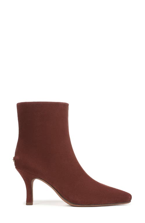 Circus Ny By Sam Edelman Laura Snip Toe Bootie In Brown