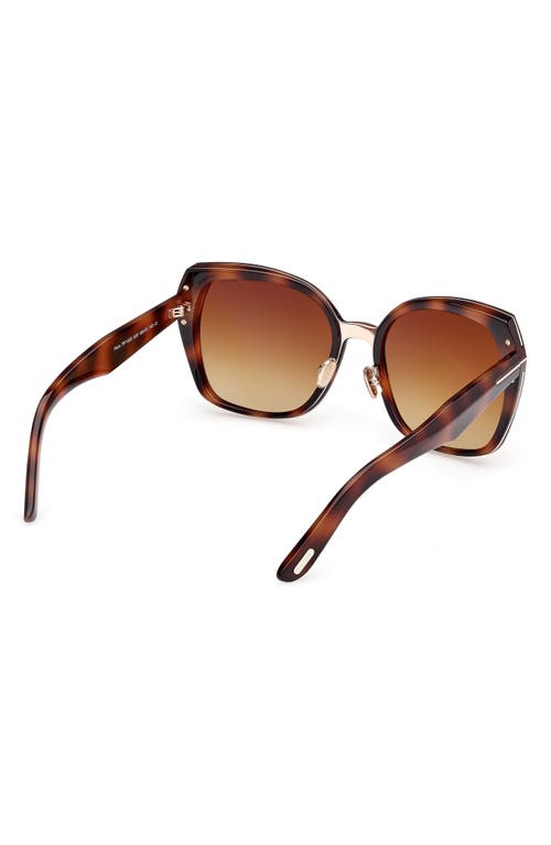 Tom Ford Plum 58mm Gradient Butterfly Sunglasses In Brown