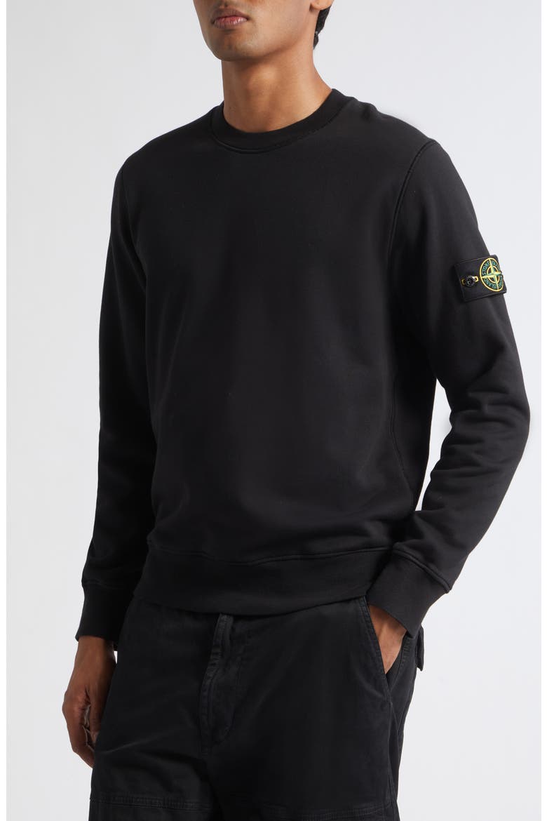 Compass Logo Patch Cotton Crewneck Sweatshirt, Alternate, color, V0029 BLACK