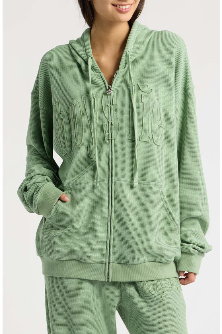 Harley Full Zip Hoodie, Alternate, color, SAGE GREEN