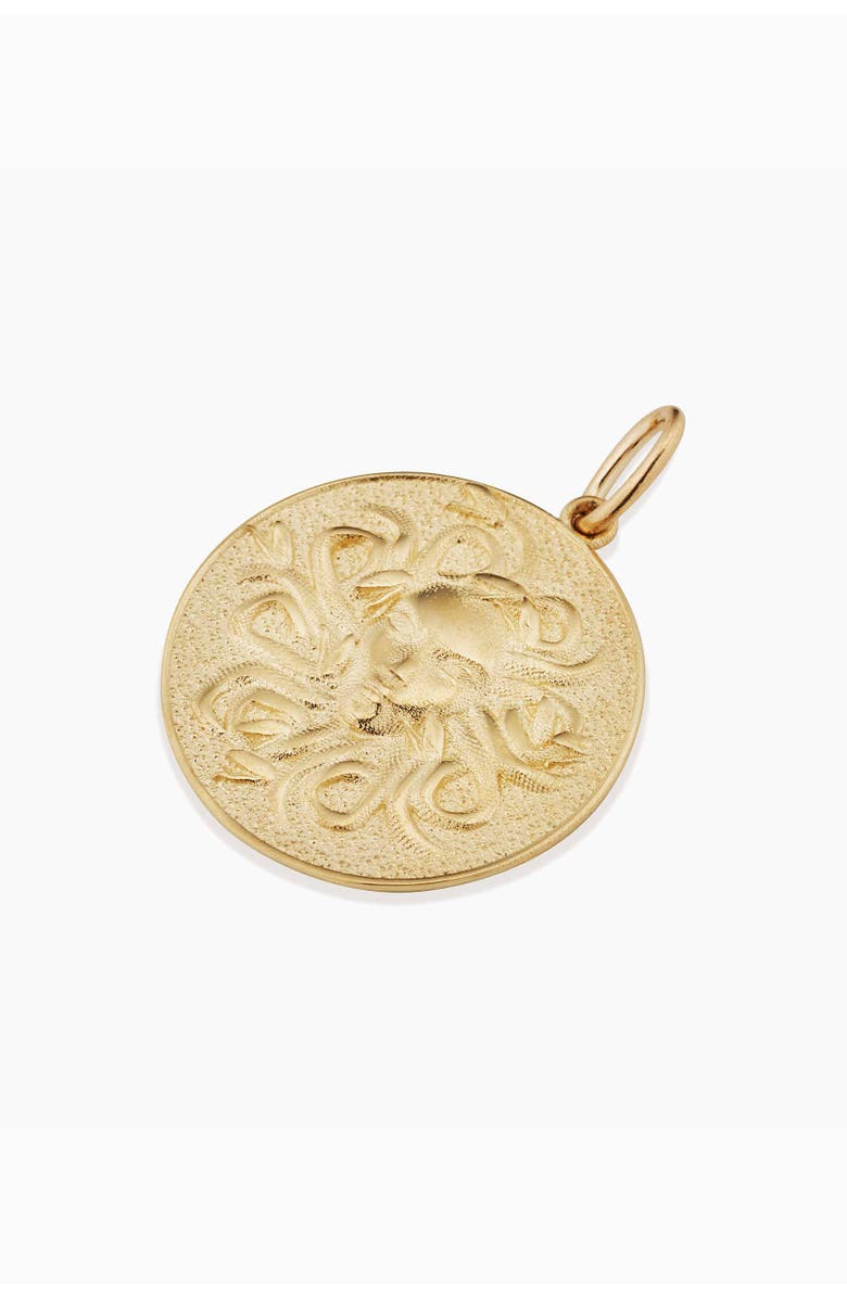 Oradina 14K Yellow Gold Medusa Medallion Pendant Charm, Alternate, color, Yellow Gold