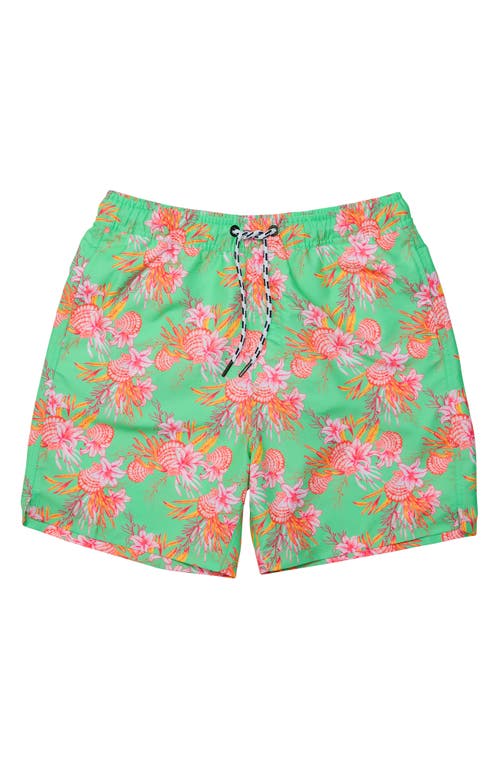 Snapper Rock Comfort Lined Sustainable Swim Short In Green