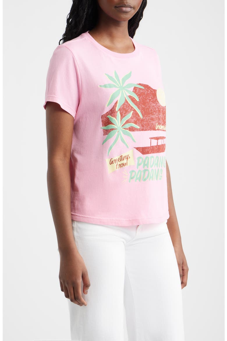 The Classic Crew Cotton Graphic T-Shirt, Alternate, color, PADANG
