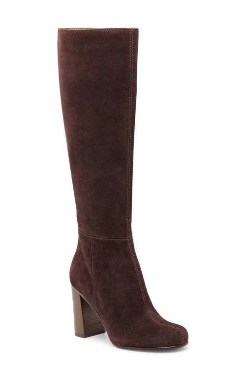 Dolce Vita Hudsin Knee High Boot In Brown