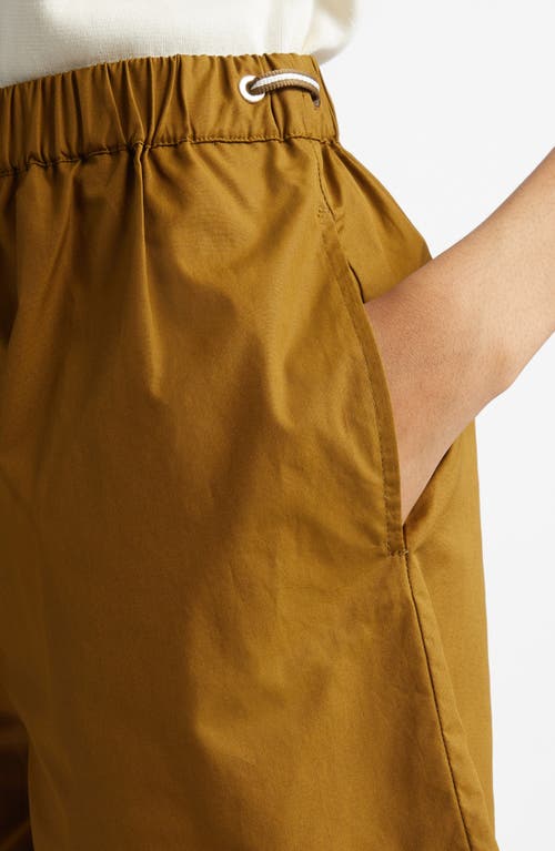 Max Mara Haway Elastic Waist Cotton Poplin Shorts In Olive Green
