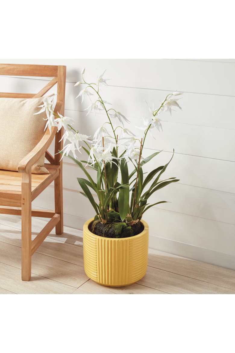 Spider Orchid Drop-In 44", Alternate, color, White
