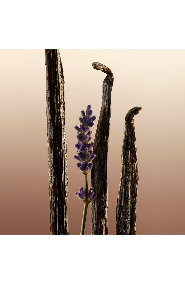 Burberry 'Burberry Goddess Shower Gel, Alternate, color, 