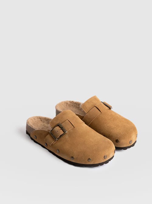 Saint + Sofia Studded Clogs In Brown
