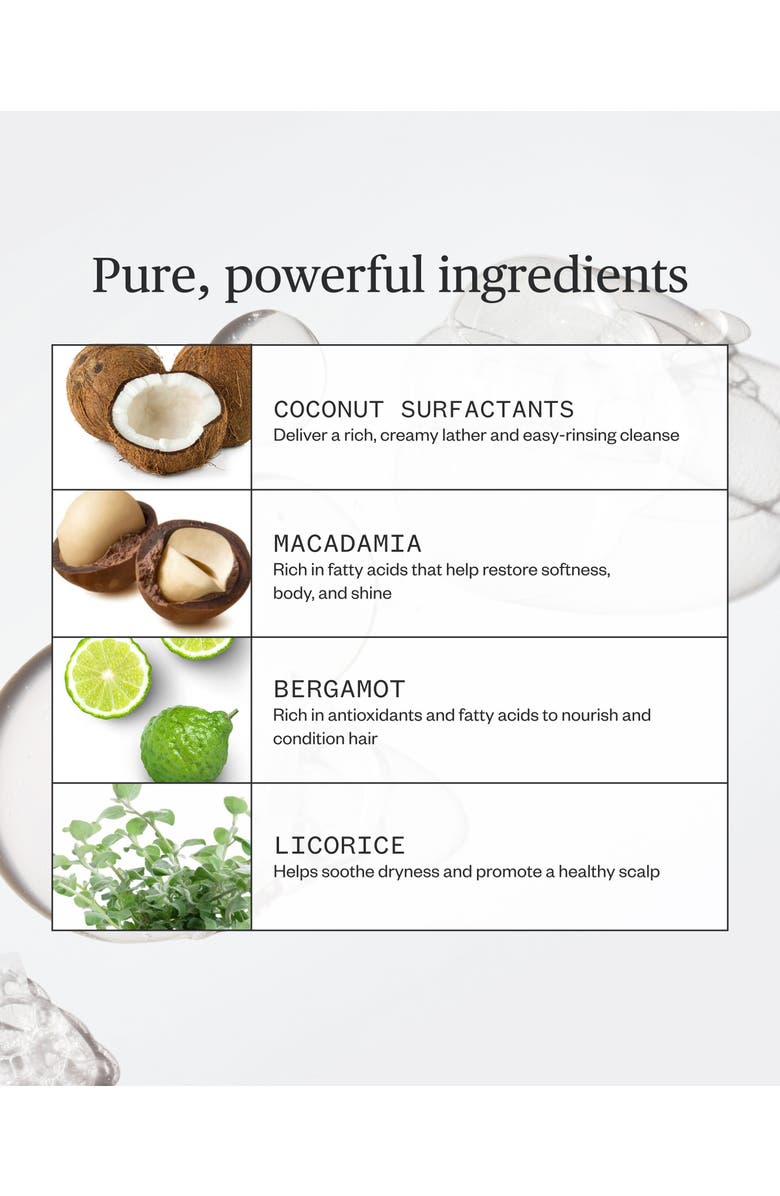 Ursa Major Go Easy Shampoo, Alternate, color, Silver