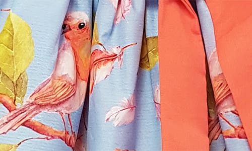 Joe-ella Kids' Bird & Floral Print Party Dress In Blue
