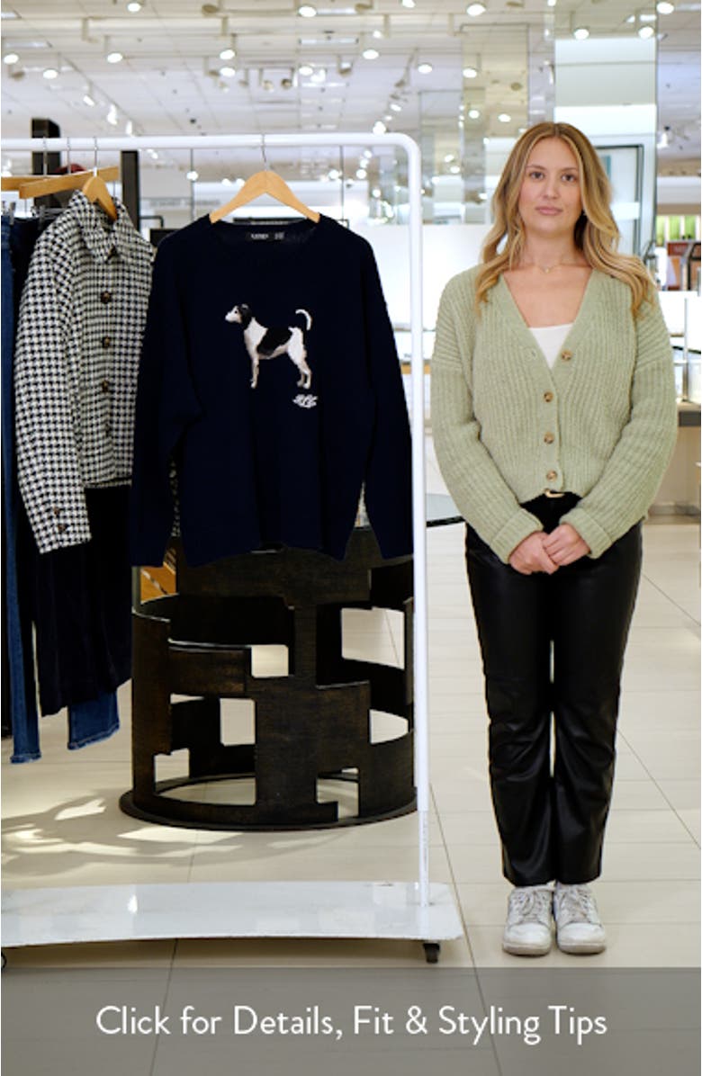 Intarsia Beagle Cotton Sweater, sales video thumbnail