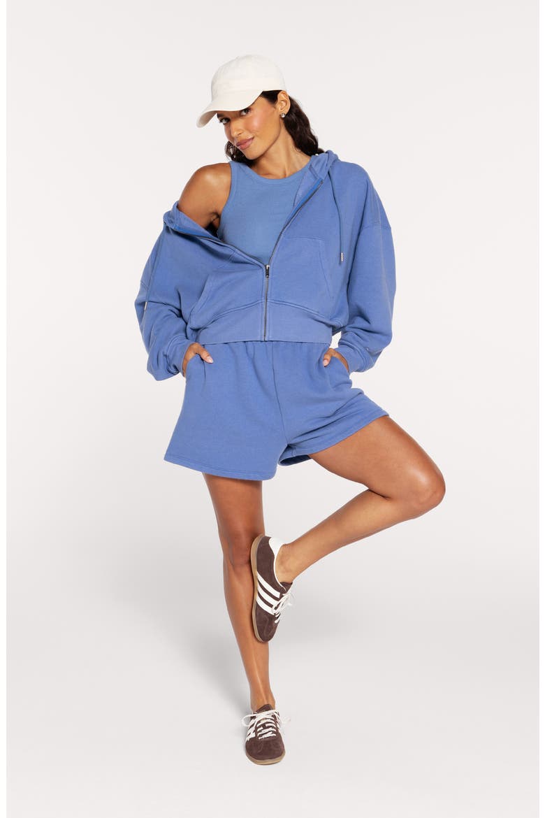Front Zip Crop Hoodie, Alternate, color, DUTCH BLUE