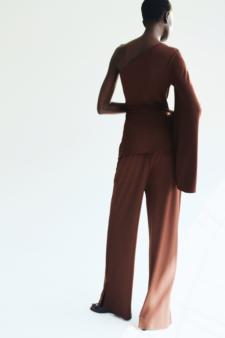 Wide Crease-front Trousers, Alternate, color, Dark brown
