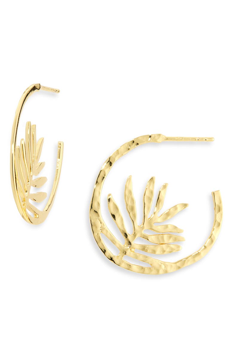 Kiara by Ki-Ele Small Palm Frond Hoop Earrings, Main, color, Gold