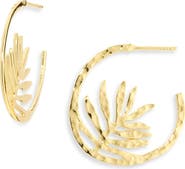 Kiara by Ki-Ele Small Palm Frond Hoop Earrings