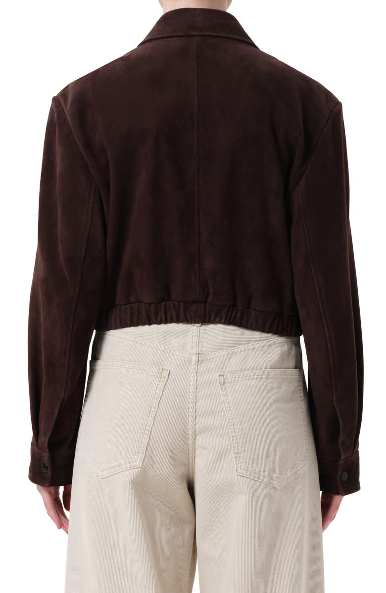 AGOLDE x Shoreditch Ski Club Nahla Suede Jacket, Alternate, color, Root Dark Brown