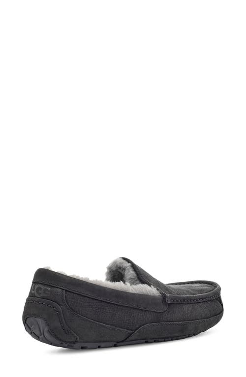 Ugg(r) Ascot Slipper In Black