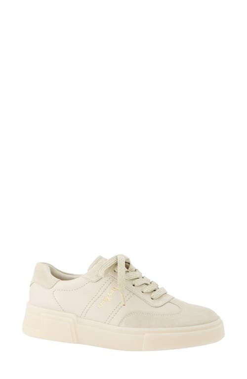 Paul Green Women's Billie Sneakers In Ivory Biscuit Combo