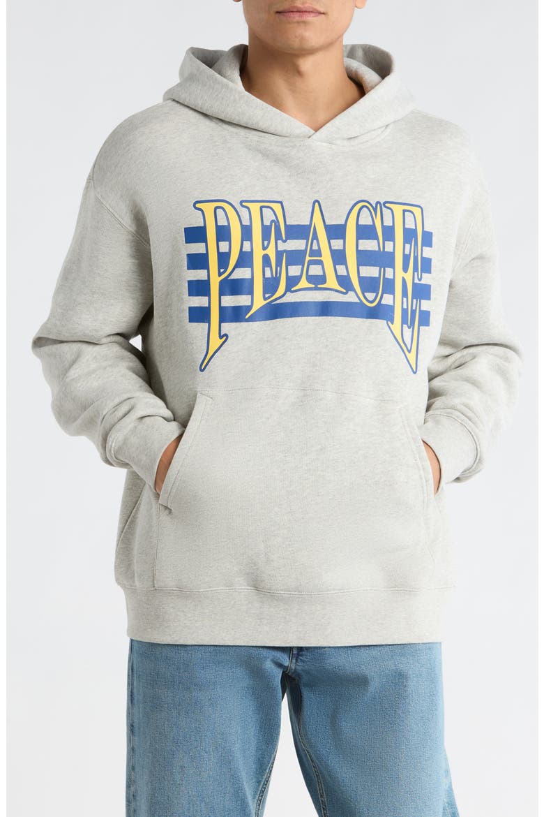 Seventies Logo Cotton Graphic Hoodie, Main, color, ASH