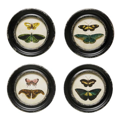 Moth and Butterfly Framed Wall Decor