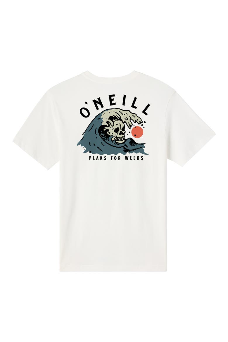 Sesh Classic Graphic T-Shirt, Alternate, color, TOFU