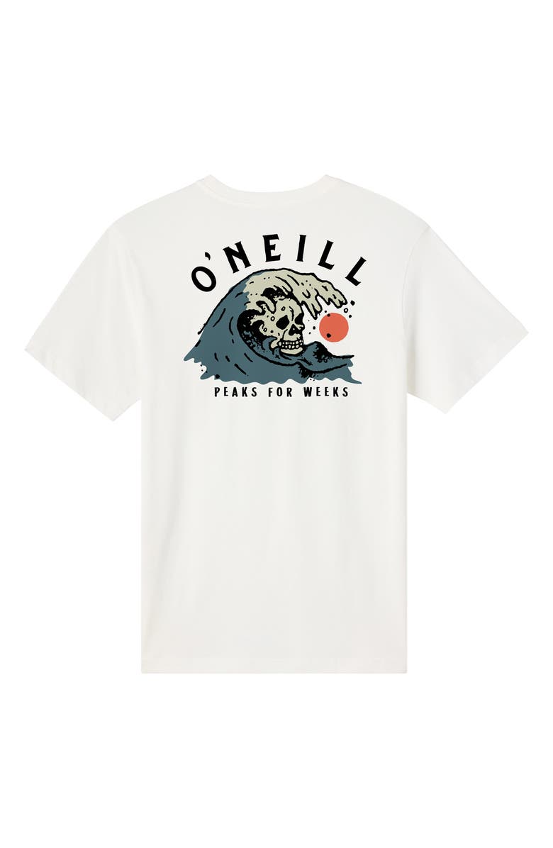 O'Neill Sesh Classic Graphic T-Shirt, Alternate, color, 