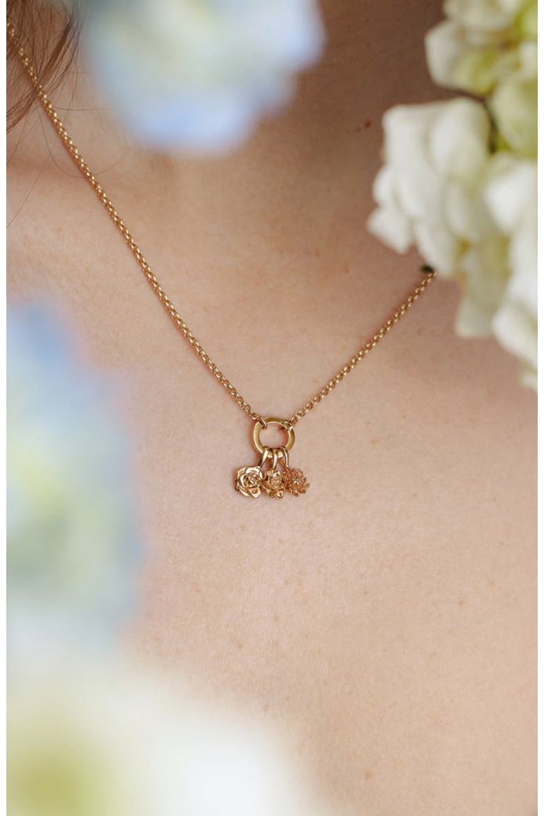Birth Flower Charm, Alternate, color, November - Gold Vermeil